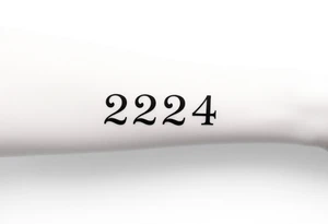 224 numbers into a tattoo itself tattoo idea
