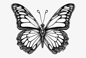 cute butterfly fineline tattoo sketch for girls tattoo idea