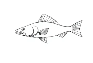 Flathead catfish tattoo idea