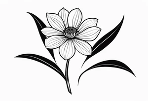 one very simple and no detailed waratha flower with stem in black and white, the few lines possible tattoo idea
