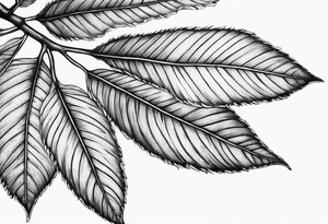 Elm Leaf tattoo idea
