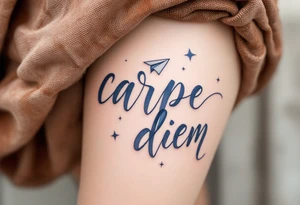 Flowing script in ink-wash gray "carpe diem", with a paper plane in pale blue flying above the phrase. tattoo idea