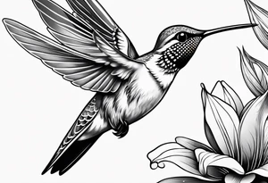 humming bird tattoo idea