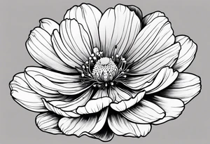 cosmos flower tattoo idea