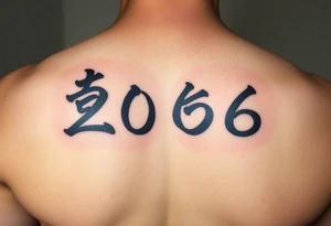 The date 30th of December 2006 in kanjis style sosho with thick lines filled with shading and fine lines tattoo idea