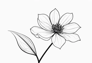 one very simple and no detailed waratha flower with stem in black and white, fine-line, very minimalistic, only a few lines tattoo idea