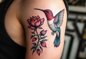 hummingbird and lotus flower, egyptian theme. Red and black only tattoo idea