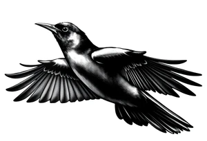 Male European Blackbird flying tattoo idea tattoo idea