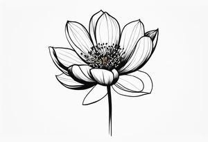 one very simple and no detailed waratha flower with stem in black and white, fine-line, very minimalistic, only a few lines tattoo idea