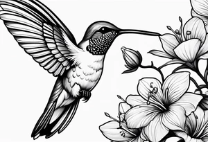 humming bird
on bicep tattoo idea