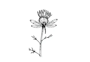 minimaliste thistle with dragonfly text : dinna fash tattoo idea