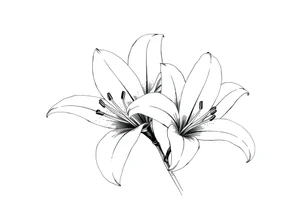 White lillies that lol like an antique etching tattoo idea