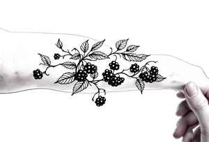 American traditional style Blackberry vine to wrap around an arm tattoo idea