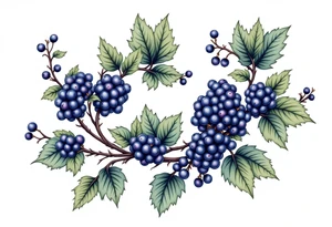 American traditional style Blackberry vine tattoo idea