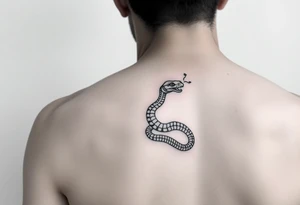 snake for a lower leg thats feminine simple but still distinctive with some kind of background tattoo idea