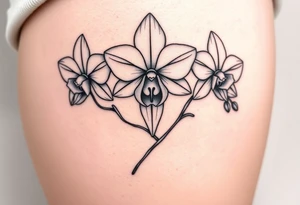 Draw of three fine line orchids different size realistic, the central part resembles a vagina. Are connected with branches tattoo idea