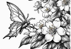 Shoulder and collarbone tattoo of a vibe of night-blooming Jasmine with a bat hanging from one of the stems tattoo idea