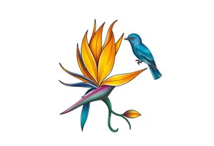 Bird of paradise flower with blue bird tattoo idea