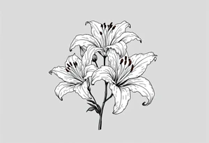 White lillies that lol like an antique etching tattoo idea