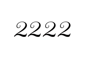 a tatto that says 224  in cyber font no decorations minimalist tattoo idea