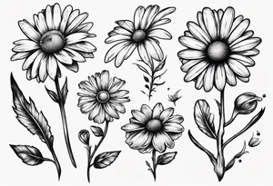 Daisy for men tattoo idea