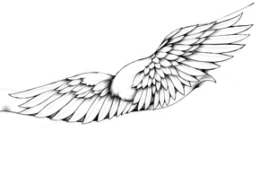 Full Shoulder to elbow wing tattoo idea