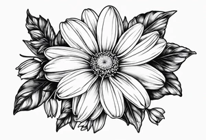 Daisy honeysuckle cosmos snowdrop tattoo idea