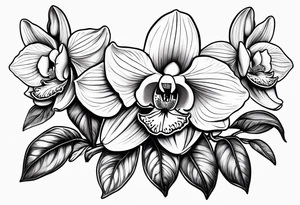 Orquídea olho de boneca e Bougainvillea com pouca sombra tattoo idea