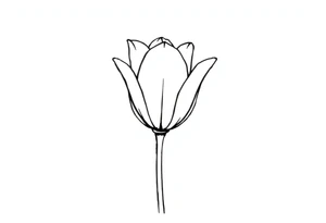 Tulip, tulip line style tattoo, hidden S letter in Tattoo tattoo idea