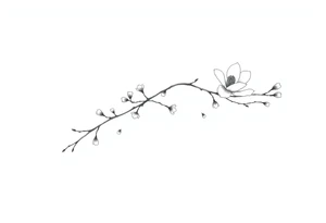 Graceful long magnolia branch with small flowers in early blossom stage with closed flowers tattoo idea