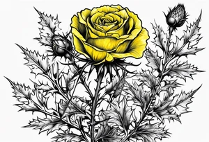 A thistle and a yellow rose and a shamrock whose stems spell K N D. tattoo idea