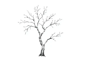 birch tree tattoo idea