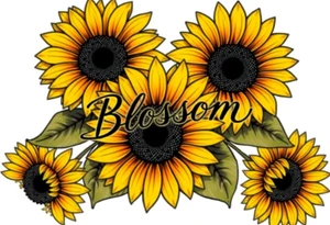 Sunflowers with “Blossom” written through it tattoo idea