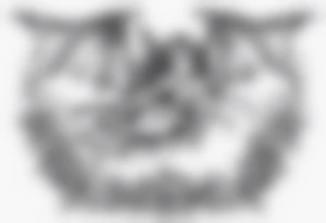 Tiny fairy riding on a bat tattoo idea