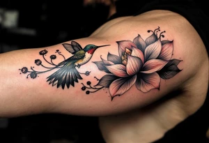 hummingbird and lotus flower, egyptian theme. Red and black colors only tattoo idea