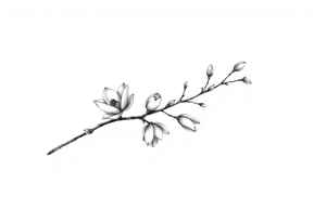 Magnolia branch long with different small almost closed flowers, with botanical details and dots tattoo idea