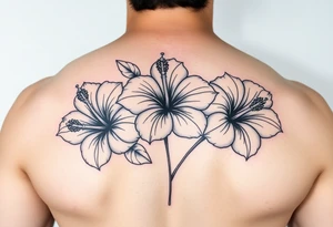 Three hibiscus flowers botanical big tattoo. FINE LINE tattoo idea