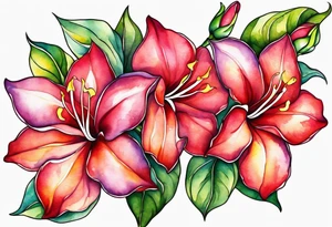 abstract mandevilla flowers on a vine, part of it watercolor, part of it just line work tattoo idea