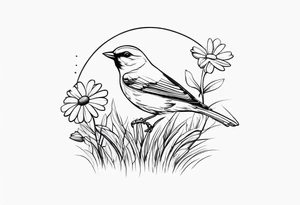 Little bird out perched on grass and daisys tattoo idea