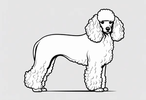 poodle tattoo idea