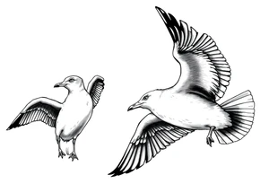 Seagulls tattoo idea