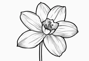 single stem narcissus flower tattoo idea