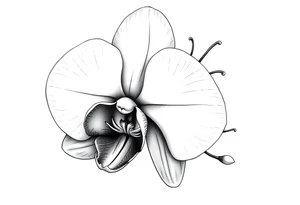orchid flower tattoo idea