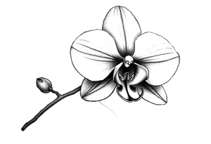 orchid with stem and leaves tattoo idea