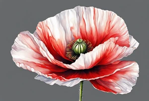 One Red poppy flower with long stem, no outline tattoo idea