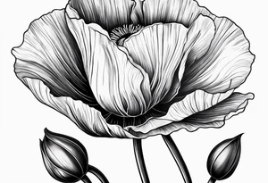 Poppy flower tattoo idea