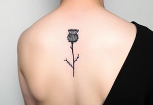 Scottish thistle fine lines delicate tattoo idea
