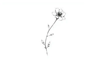 Wildflower written in stem tattoo idea
