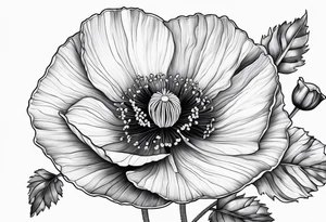 Poppy flower tattoo idea