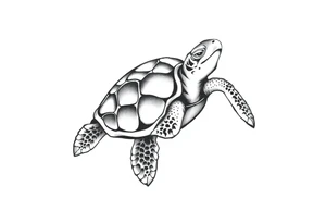 Sea turtle  tribal tattoo idea